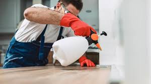 Trusted West Dundee, IL Pest Control Experts